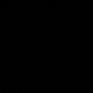 Meet your Posher, Malachi